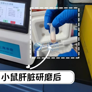 動物組織之肝臟研磨“神器”全自動樣品快速研磨儀|實現樣品輕松磨